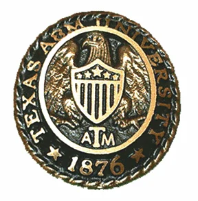 Block ATM Ringcrest Paperweight